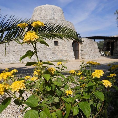Agriturismo Specchiarussa Morciano di Leuca Rum bild