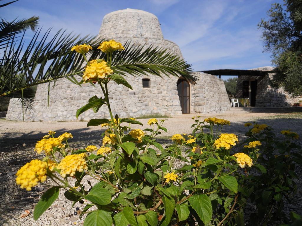 Agriturismo Specchiarussa Morciano di Leuca Rum bild